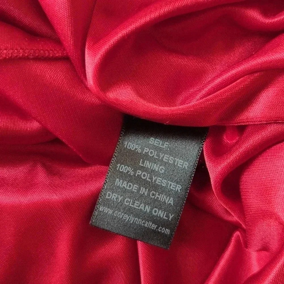 Corey Lynn Calter Purple color lock Pleated Dress - Picture 6 of 6